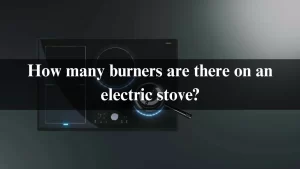 Read more about the article How many burners are there on an electric stove? 5 Types