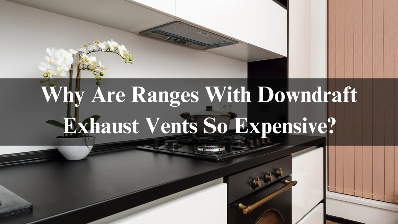 Read more about the article Why Are Ranges With Downdraft Exhaust Vents So Expensive?